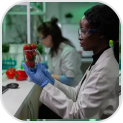 Food Systems & Health Practice