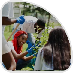 Sustainability Practice